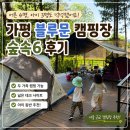 가평 블루문 캠핑장 숲속6 후기｜두 가족 캠핑 가능했던 넓은 데크 사이트
