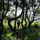 사하구-09 이미지