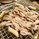 밤새우는닭 이미지