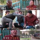 먹고가 티브이데일리