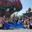 한국 청소년적십자 이미지