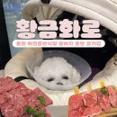 강아지집 | 포천 애견동반 식당 &lt;황금화로&gt; 강아지 동반 고기집 후기