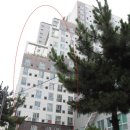 해운대로781번길 이미지