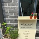 아르브아 이미지