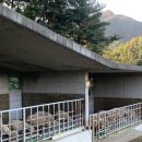 지내목장 이미지