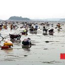 삽시도어촌계 뉴시스