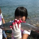 항도어촌체험마을 이미지