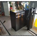 태인 애견 이미지