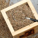 채운영농조합법인 이미지