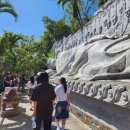 소원치과의원 이미지