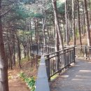 호암늘솔길 화장실 이미지