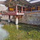 선암사성보박물관 | 순천 여행코스 사찰 송광사 홍매화 산수유 주차장 정보