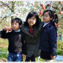 하향농장 이미지