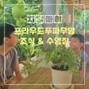 꼬꼬앤부대 | 아이랑 치앙마이 여행 프라우드푸파무앙 조식 수영장 후기