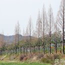 밀양대로 이미지