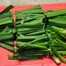 고기1통 이미지