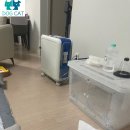 어르신이 행복한 세상 | “세종 노령묘, 숨 쉬는 것조차 버거웠던 아이… 산소방 설치 후 되찾은 조용한 평온”