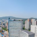 서울 정공인중개사사무소 서울경제