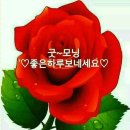 100세의료기 이미지