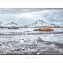 하늘호프 이미지