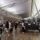 (주)세정여행사 | ✈️ 몰디브신혼여행 카타르항공 후기 / 비행기가격 대란 / 인천-도하-몰디브-국내선