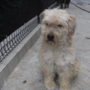 중산간동로 이미지