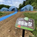 강인 농장 이미지