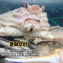 매천로2길 | 대구 매천시장 인근 홍게 맛집 준이수산 러시아대게 포장 후기