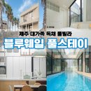 블루웨일 | 제주 대가족 독채 풀빌라 추천 블루웨일 풀스테이 VIP룸 후기