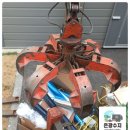 은광수지 이미지