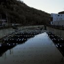 천국은불타고있다 이미지