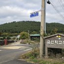 악락심천 티스토리