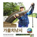 강화발이피싱? 이미지