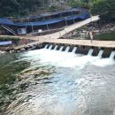 예치민박 이미지