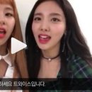 에드비붙임머리(add'B) 이미지