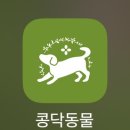 콩닥 동물병원 이미지