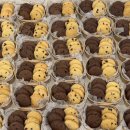 계룡승진답례품 베스트｜단체주문 가능한 답례쿠키🤎🍪