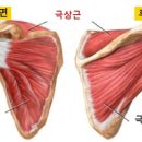 롱투짐 이미지