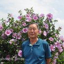 무궁화로 이미지