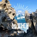 문암천 | 능파대 강원도 고성 가볼만한 곳 추천 BTS촬영지 국가지질공원