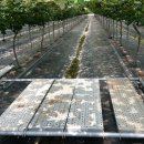 강화군농업기술센터 이미지