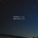 안전지대