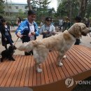 놀이터2 이미지
