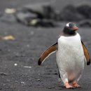 새서부약국 이미지