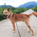 읍내4구 이미지