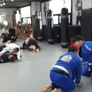 본주짓수충주