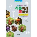 석순자