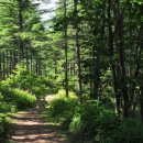 석지자원 이미지