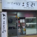 오드리 애견미용실 이미지
