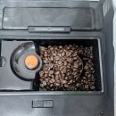 스페셜티 커피와 함께 즐기는 스토리 | 파주커피오빠 카페프루티드립 가성비원두 추천! 홈카페에서 즐긴 스페셜티 커피